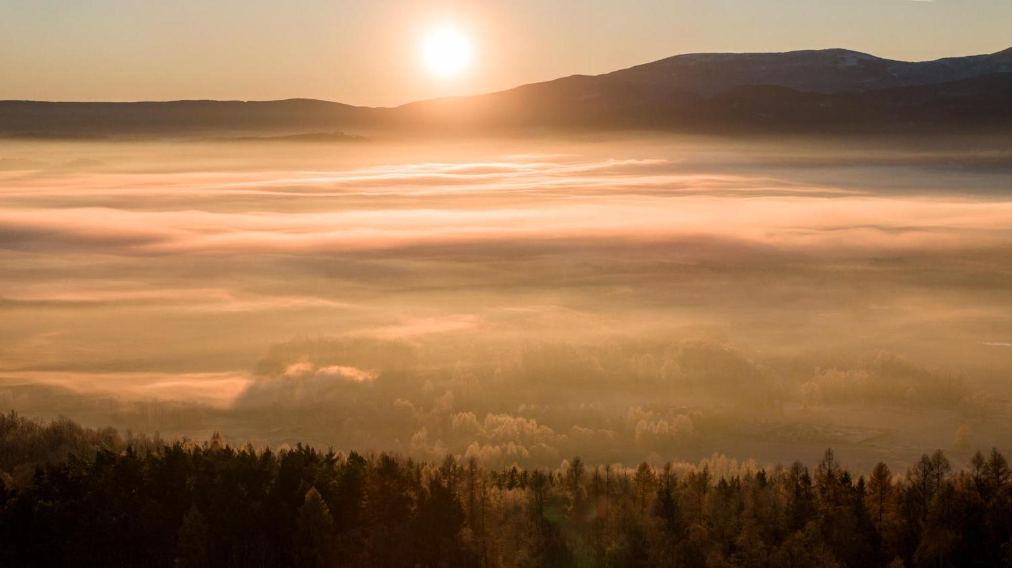 Flowfort - Karkonosze View & & Wellness Holiday home
