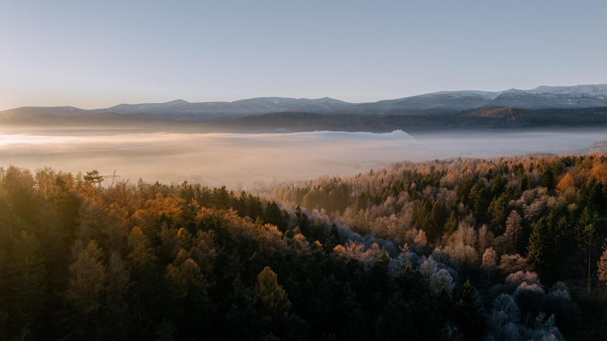 Flowfort - Karkonosze View & & Wellness Wojcieszyce